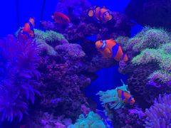 -多彩贵州城极地海洋世界