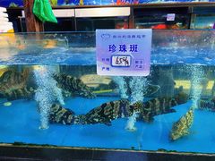 -马王堆海鲜水产市场