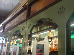 -猫咪博物馆(顶澳仔猫街店)