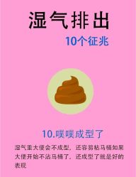 -Fundi张玉珊修身堂·indiba·BTL科技瘦身