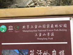 -北京上方山国家森林公园