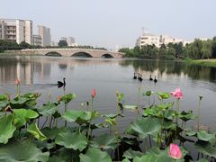 -江南大学(蠡湖校区)