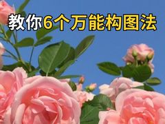 -CGWANG王氏教育(上海校区)