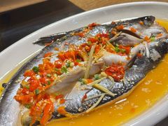 -印象鲵宴·张家界地标美食名片(溪布街店)