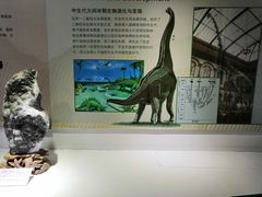 -中国第四纪冰川遗迹陈列馆