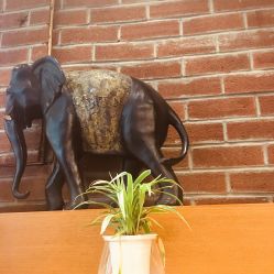 -时尚殿堂·颜SPA