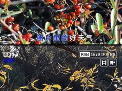 -八卦田遗址公园