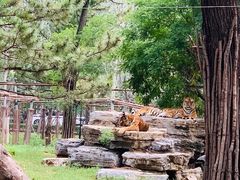 -秦皇岛野生动物园