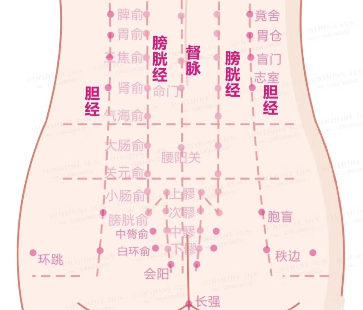 臀部疏通与保养
臀部:是盆腔,肠道
