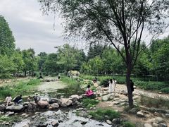 -郑州植物园
