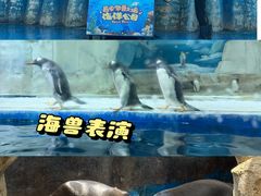 -华夏文旅海洋公园