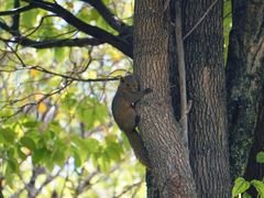 -崇圣寺三塔文化旅游区