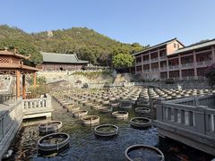 -石峰岩寺