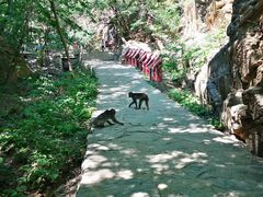 -北京上方山国家森林公园