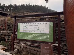 -紫鹊界梯田景区