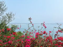 -涠洲岛火山国家地质公园