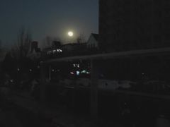 -永和大王(蛙嫩鸡香煲煲鲜·军博店)