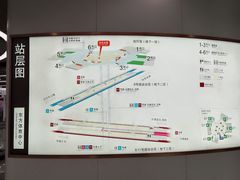 -东方体育中心(地铁站)