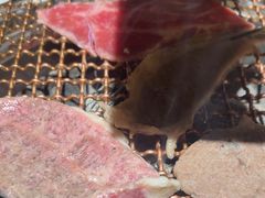 -九田家黑牛烤肉料理(华侨城店)