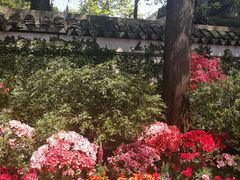 -无锡惠山寺