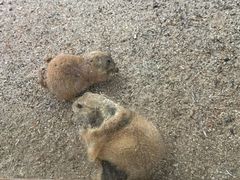 -杭州千岛湖开元度假村