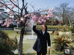 -武汉紫薇都市田园