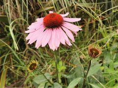 -白鹭湾湿地公园