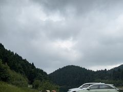 -武陵山森林公园