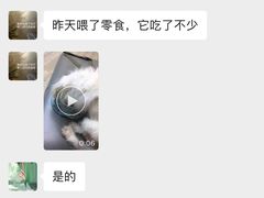 -丹景宠物医院·全科·老年病·牙科(武昌诊疗中心)
