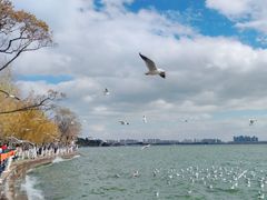 -滇池海埂公园