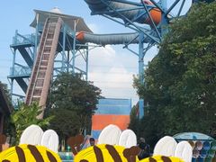 -苏州乐园森林水世界