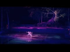 -三亚红色娘子军演艺公园景区