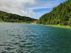 -武陵山森林公园
