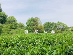 -酒仙湖景区