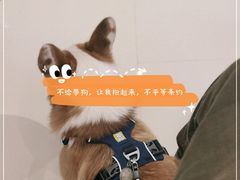 -优衣库(重庆万象城店)