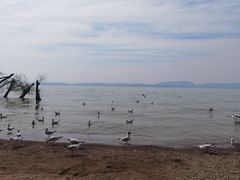 -捞渔河湿地公园