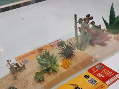 -牛汤哥慢熬牛肉汤(五道口店)