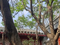 -北京鲁迅博物馆(北京新文化运动纪念馆鲁博馆区)