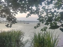 -西昌邛海湿地
