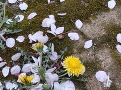 -江南大学(蠡湖校区)