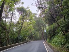 -广州市白云山风景名胜区