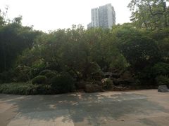 -晓港公园