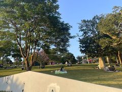 -白石龙音乐公园