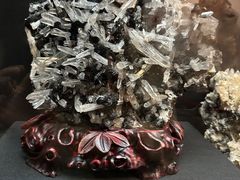 -烟台自然博物馆