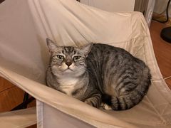 -树洞咖啡(科大店)