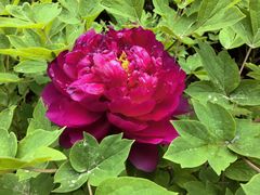 -木塔寺遗址生态公园