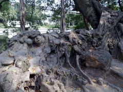-小洲村