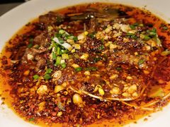 -院8里·小聚园老川菜(九眼桥店)