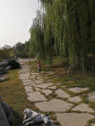 点击看大图 -爱儿美儿童摄影(奥森公园店)
