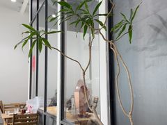 -VOYAGE COFFEE 咖啡烘焙工坊店(798艺术区店)